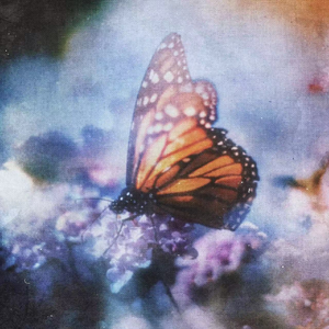 亚洲欧美日韩国产v在伐
